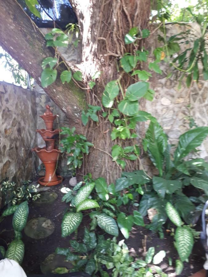 Hotel Alcaldeza - Garden House Maria Guadalupe Санто-Доминго Экстерьер фото
