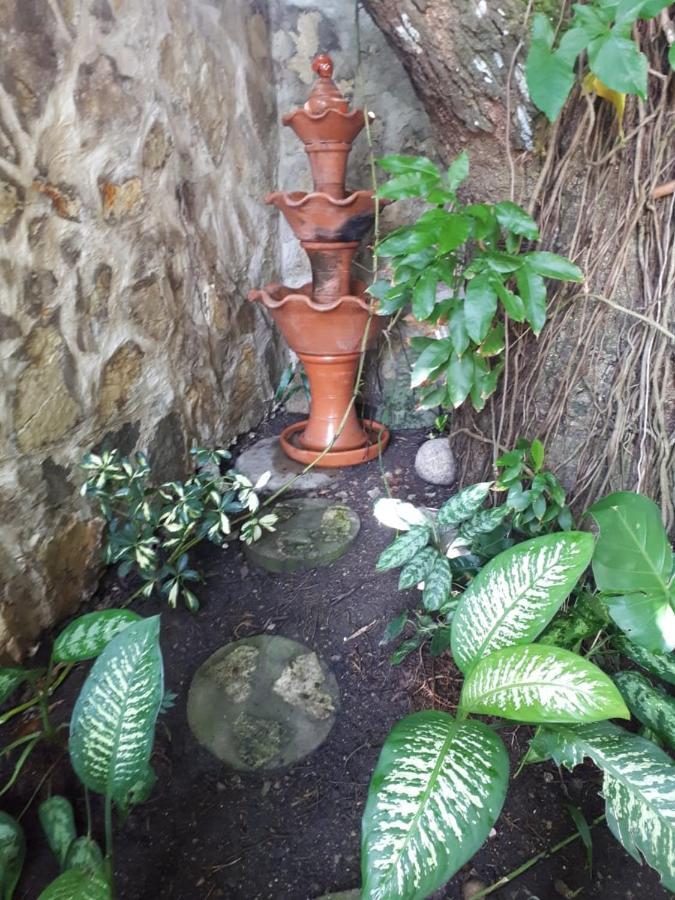 Hotel Alcaldeza - Garden House Maria Guadalupe Санто-Доминго Экстерьер фото